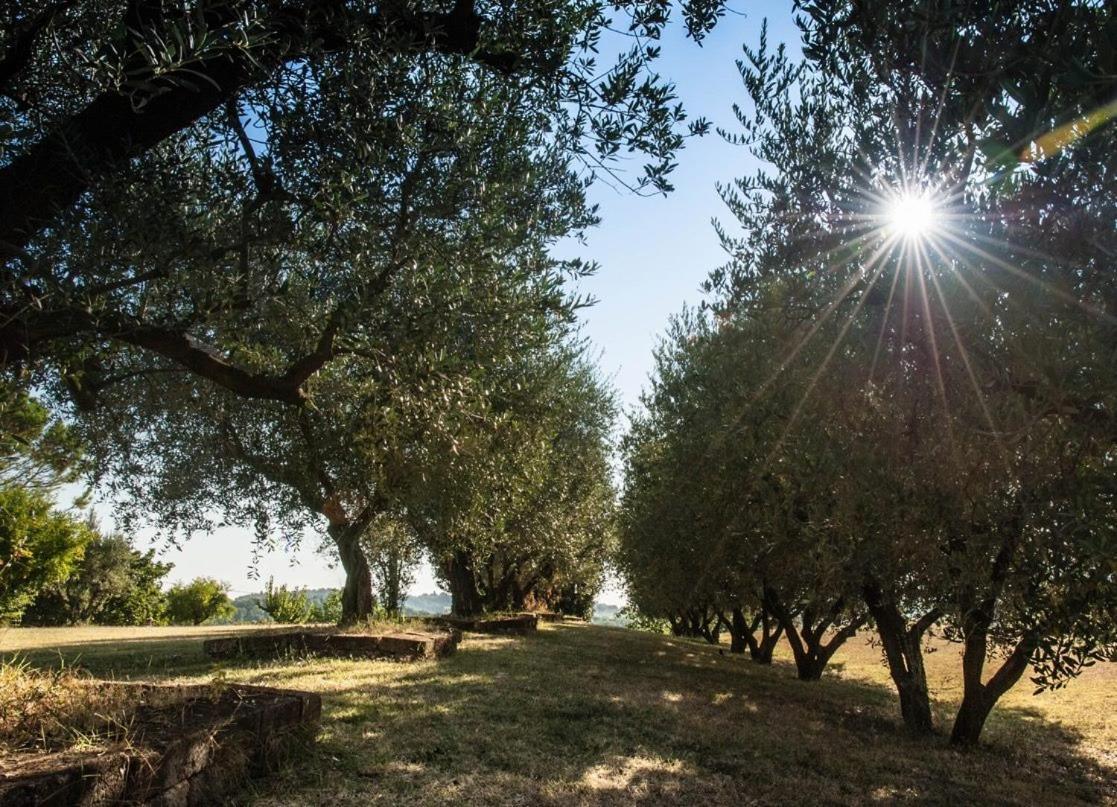 B&B Madonna Degli Angeli Fano Buitenkant foto